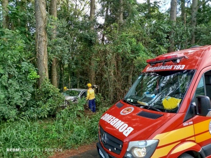 Jovem fica ferido ao sair da pista e colidir carro contra árvores na BR-282