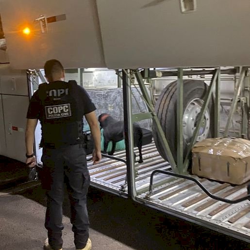 Passageiros são presos com 60 kg de maconha na rodoviária de Maravilha