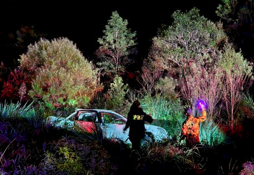 Mulher e criança ficam feridas após carro sair da pista e capotar na BR-282